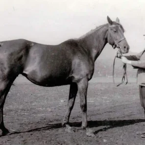 SOLIANKA II