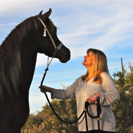 Priceless Da Vinci (Da Vinci x Momentica) contact Sue Martin for more information on this very special mare.