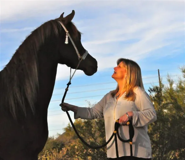 Priceless Da Vinci (Da Vinci x Momentica) contact Sue Martin for more information on this very special mare.