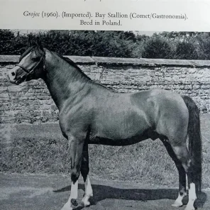GROJEC