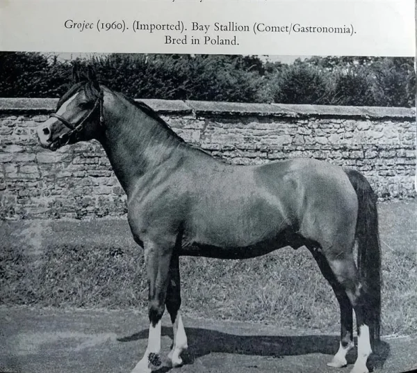 GROJEC