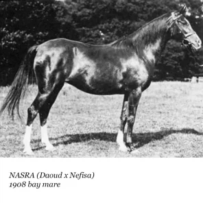 Nasra