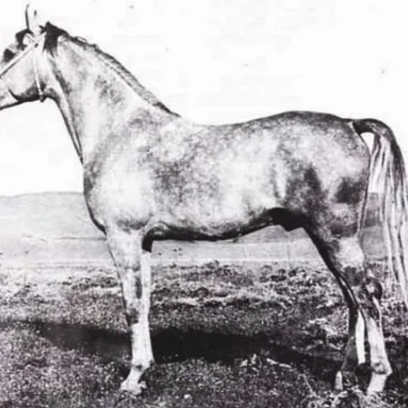 Razada