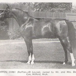 EL-RAFFON