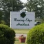 Winning Edge Arabians