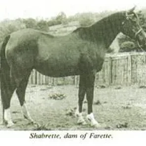 Shabrette