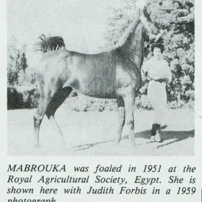 Mabrouka