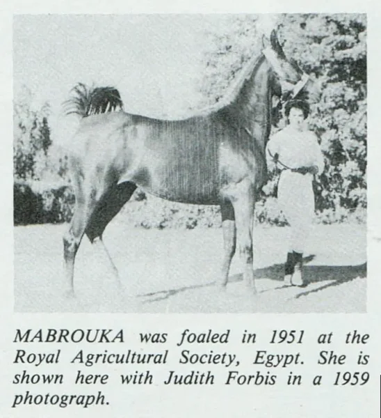 Mabrouka