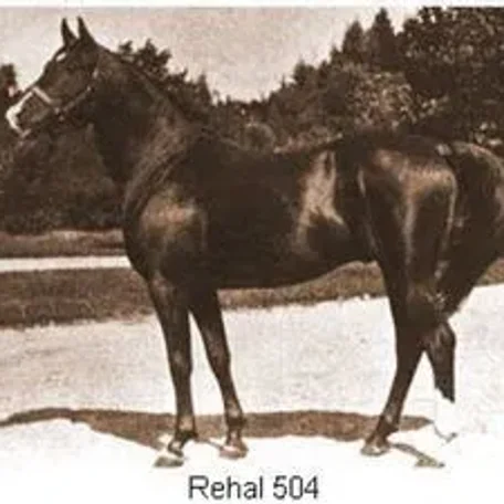 REHAL