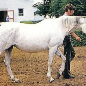 KARINKA