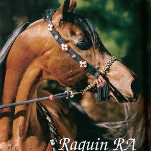 Raquin RA