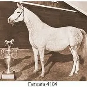 Fersara