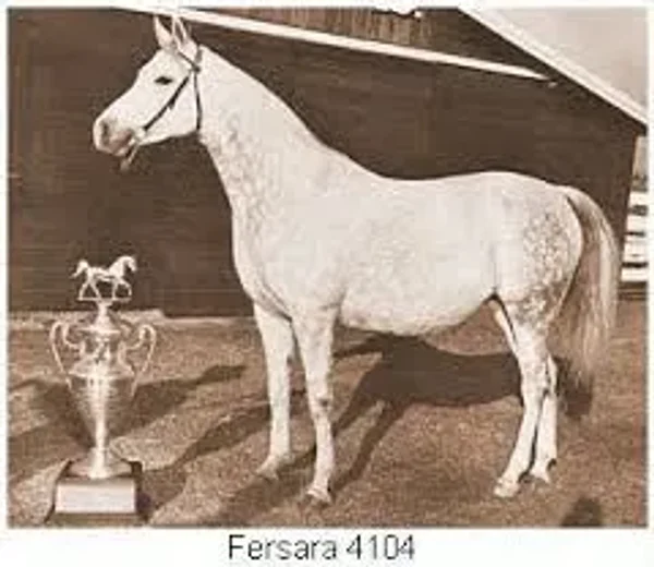 Fersara