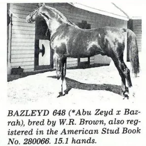 BAZLEYD
