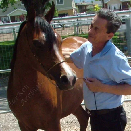 Fantasy M {Thee Masterpiece x WB First Edition (Ponomarev). Foaled 2009. Bred by McLaughlin Arabians. Owned by Ken & RaNae B Bangerter, Ut, USA.