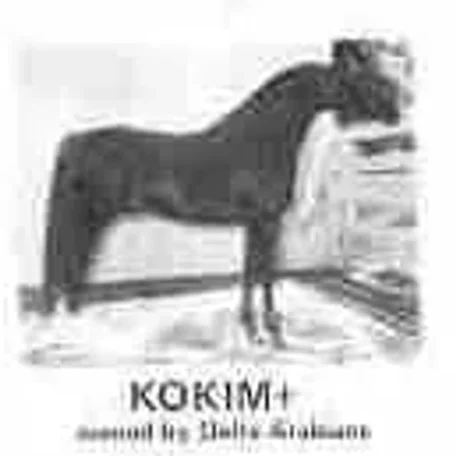 KOKIM++