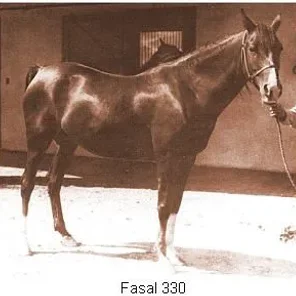 FASAL