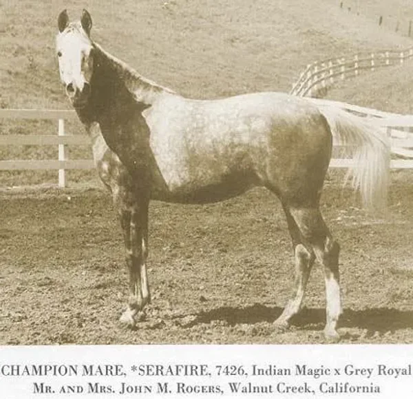 Serafire