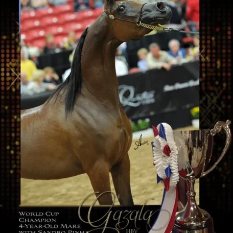 Congratulations to World Cup Champion Gazala HBV