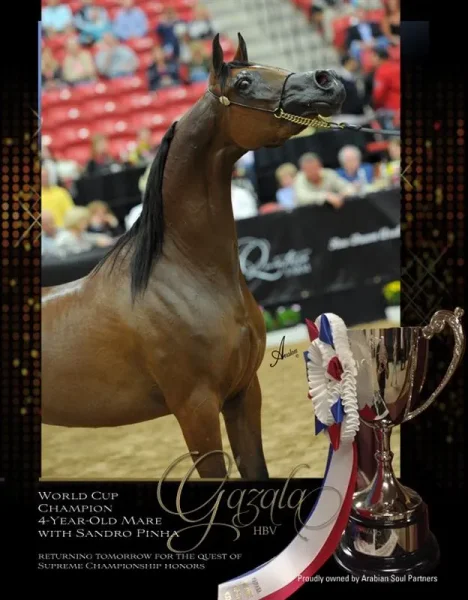 Congratulations to World Cup Champion Gazala HBV