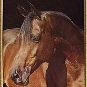 Dahmah Shahwaniah