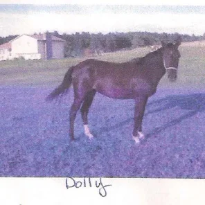 PRINCESS DOLLY