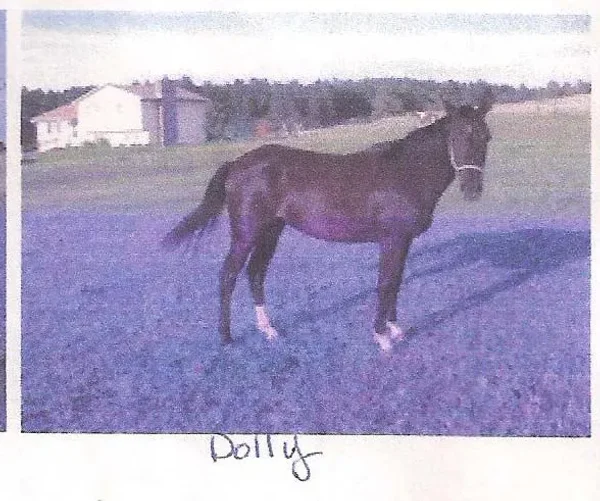 PRINCESS DOLLY