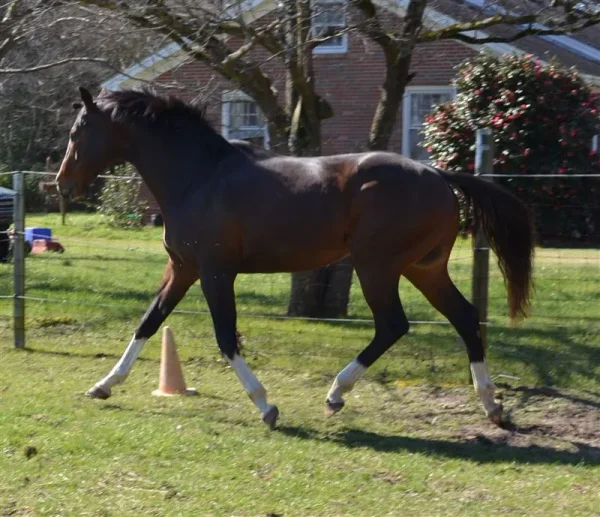 Catalpa Hill Training Center