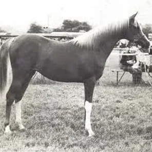 Crysilla