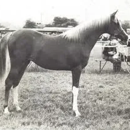 Crysilla
