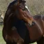 Catalpa Hill Training Center