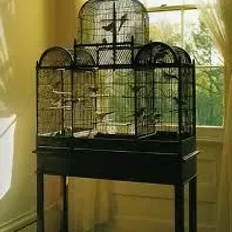 Magnificent Bird Cages
