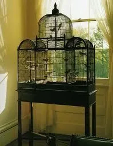 Magnificent Bird Cages