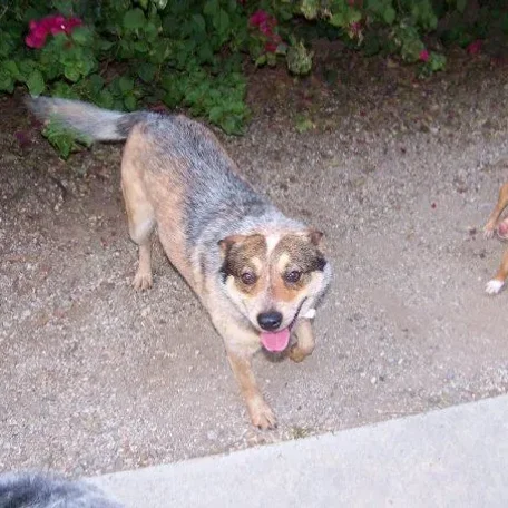 The day we got her on April 30, 2009.