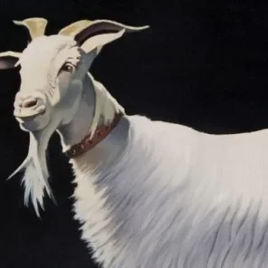 Goat Tales