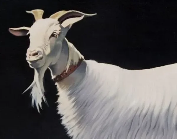 Goat Tales