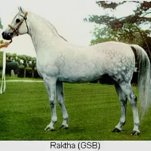 RAKTHA