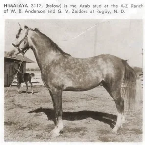 Himalaya