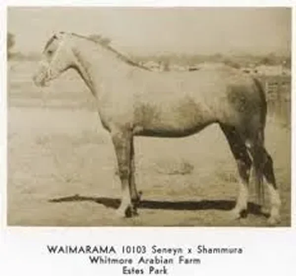 Waimarama
