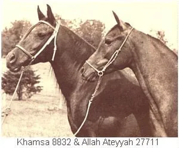 Khamsa