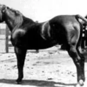 Oklahoma Star