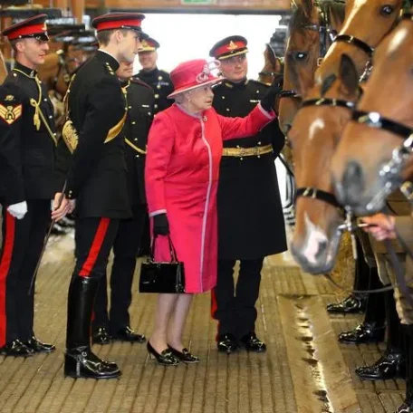 Royal, England, Elizabeth, King Charles the second, Price Robert, Prince William, Catherine (Kate) Middleton