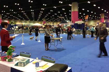 GETTING STARTED SHOWING YOUR DOG, AKC
