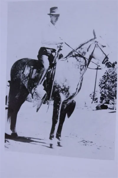 Shamal (Raseyn x Estrellita) grey gelding, foaled September 15, 1936
bred by W.K. Kellogg Institute