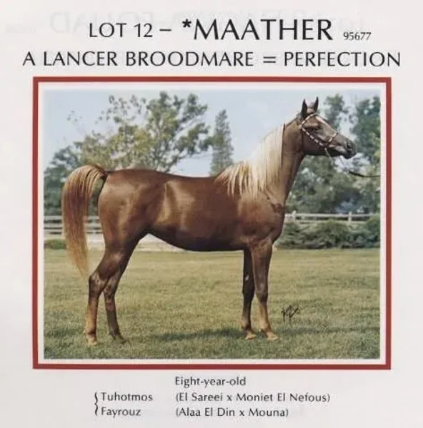 Maather
