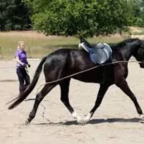 Longeing (Lunging) Your Horse