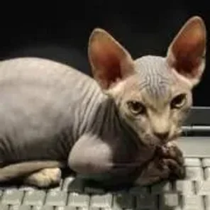 Minskin