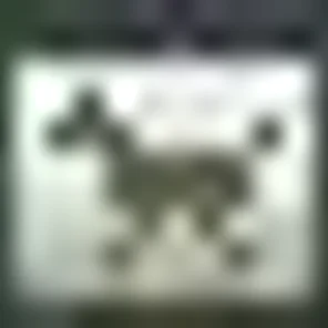 *BIGOTKA