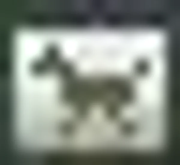*BIGOTKA