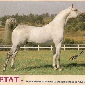 Etat